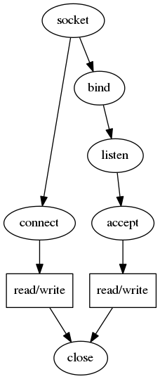 sockets